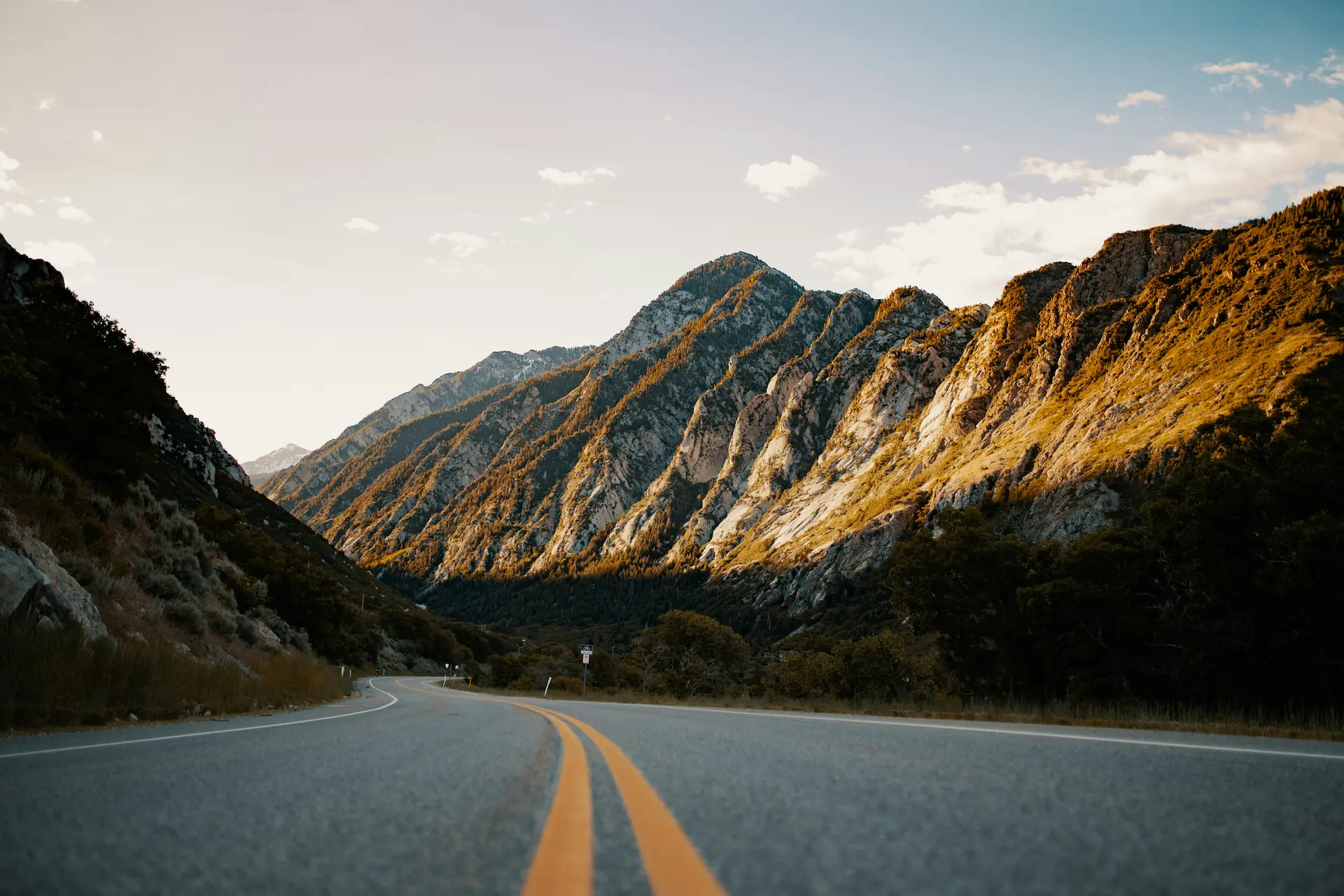 Ticket Defenders traffic ticket defense team